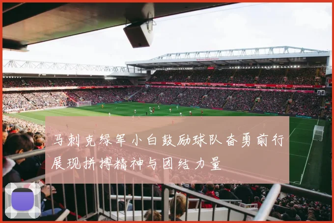 马刺克绿军小白鼓励球队奋勇前行展现拼搏精神与团结力量