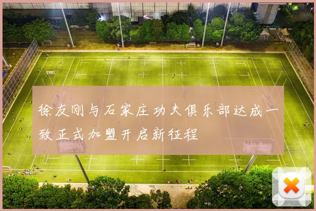 徐友刚与石家庄功夫俱乐部达成一致正式加盟开启新征程